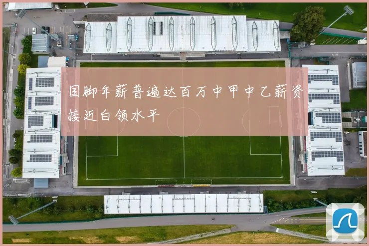 国脚年薪普遍达百万中甲中乙薪资接近白领水平