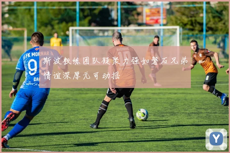 斯波教练团队凝聚力强如磐石兄弟情谊深厚无可动摇